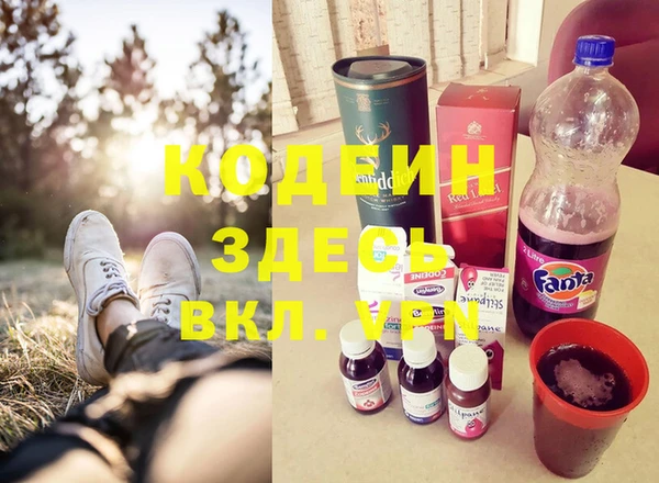 СК Дмитров