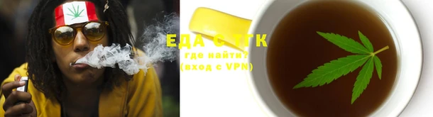 СК Дмитров