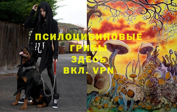 дмт Дмитровск