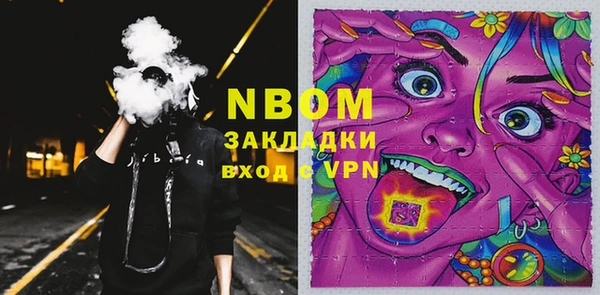 СК Дмитров