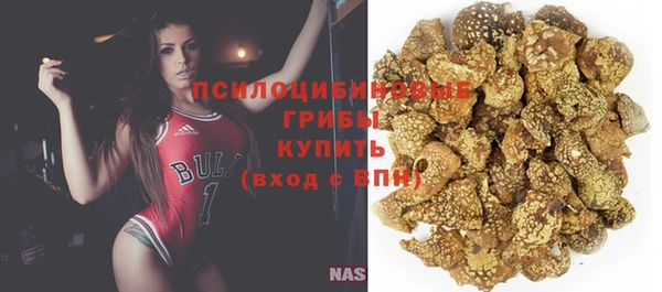 дмт Дмитровск